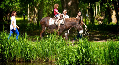 La Ferme du Marais poitevin