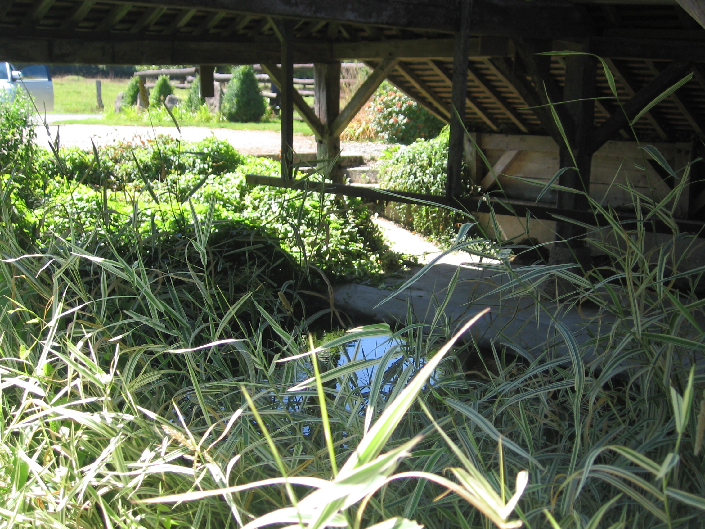 lavoir