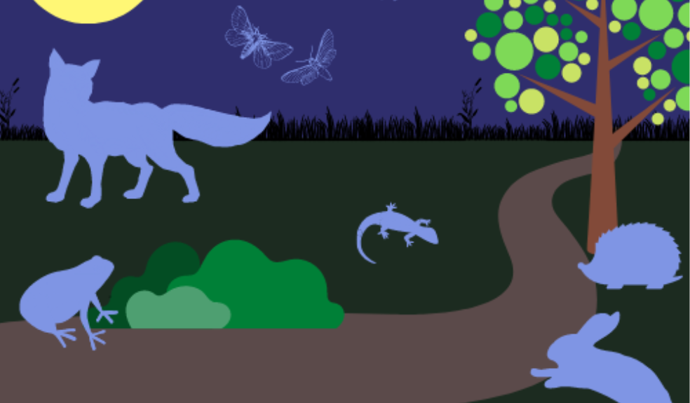 nuit et biodiversité