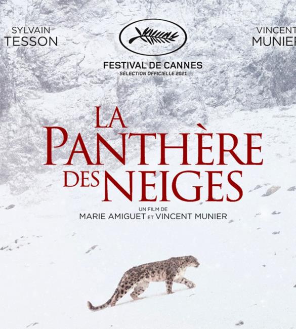 panthere-neige-affiche