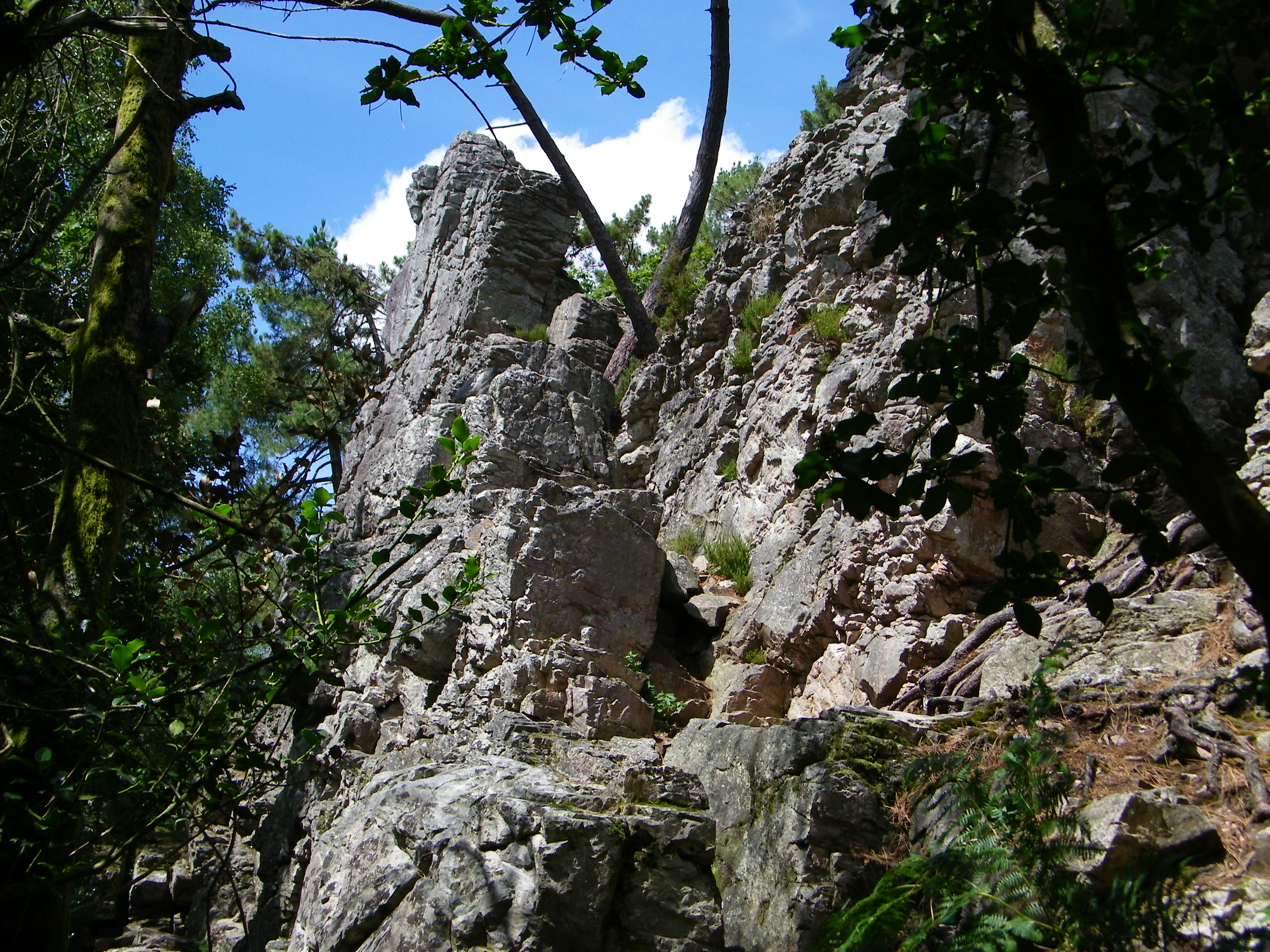 Le Saut Du Cerf Sillé Le Guillaume