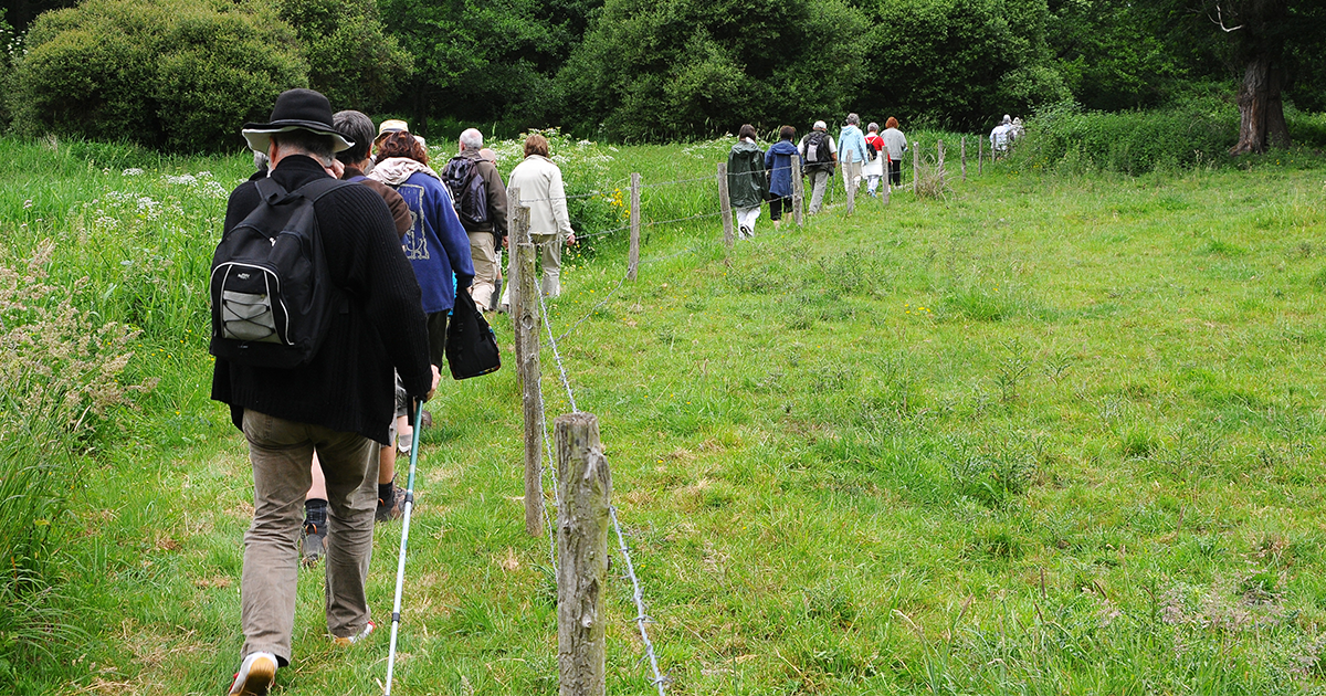 Sentier Farinel / Moisdon-la-Rivière