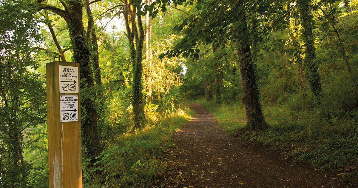 sentier de la Lande du Don - Moisdon la Rivière