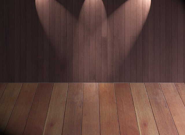 Spectacle théâtral « ELISE ET MOI »