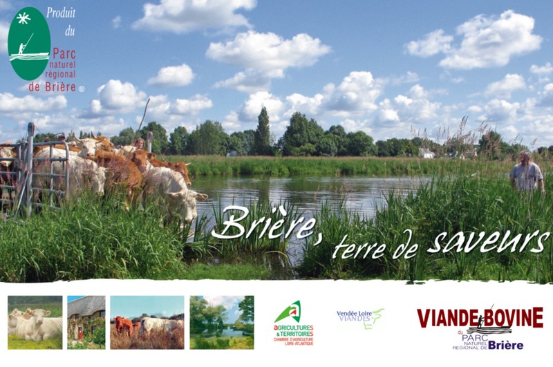 viande-bovine-marque-parc-naturel-regional-de-briere-logo-1212209